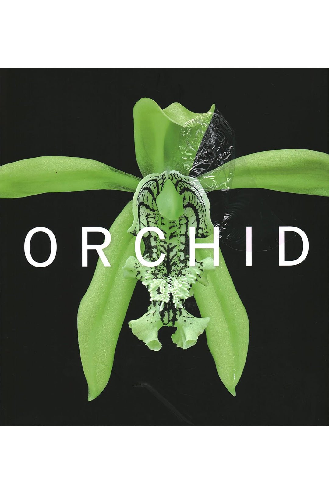 orchid-marie-shelby-botanical-