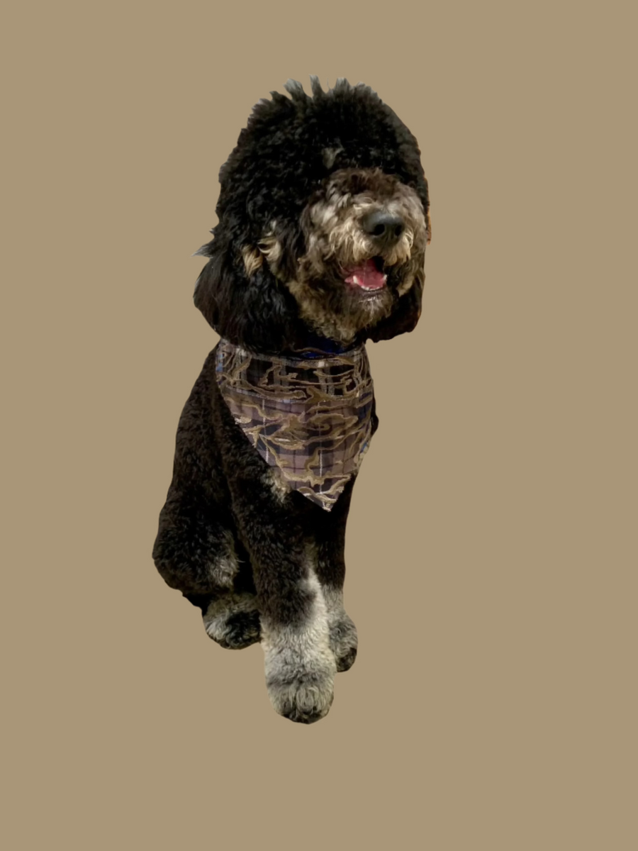 THE DRYAD TRIANGLE DOG SCARF LARGE, MULTI