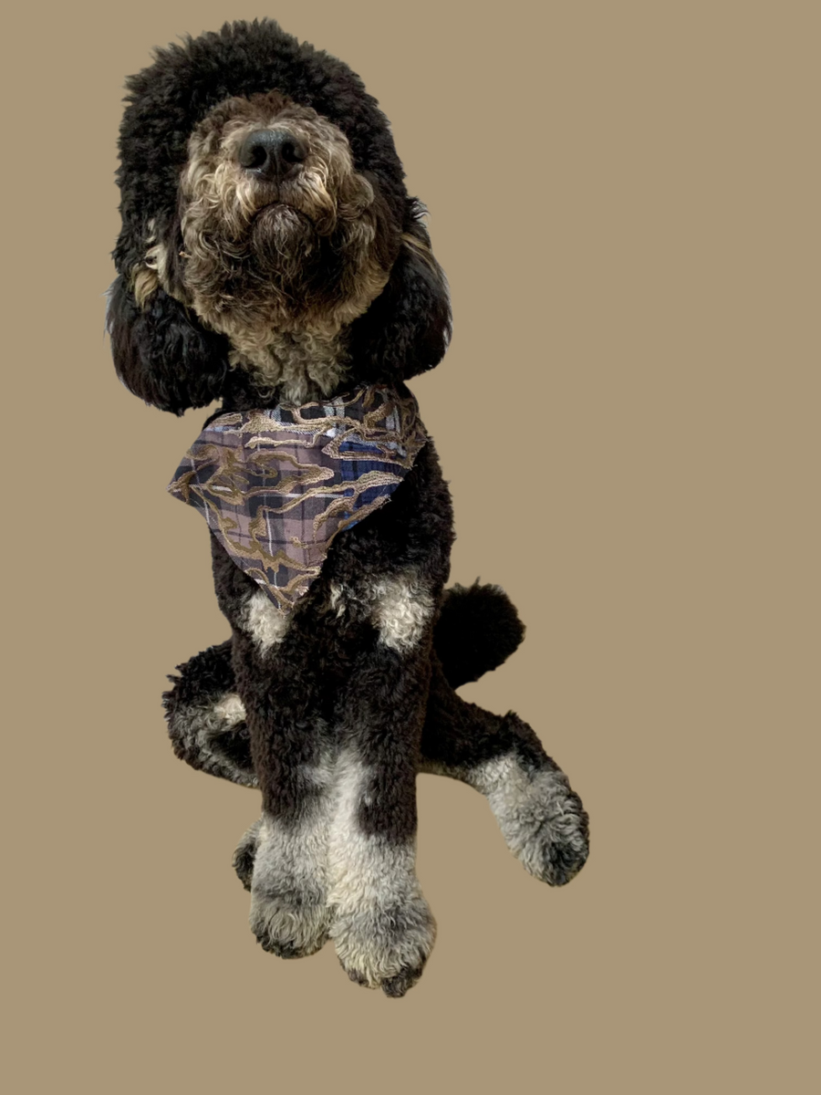 THE DRYAD TRIANGLE DOG SCARF LARGE, MULTI