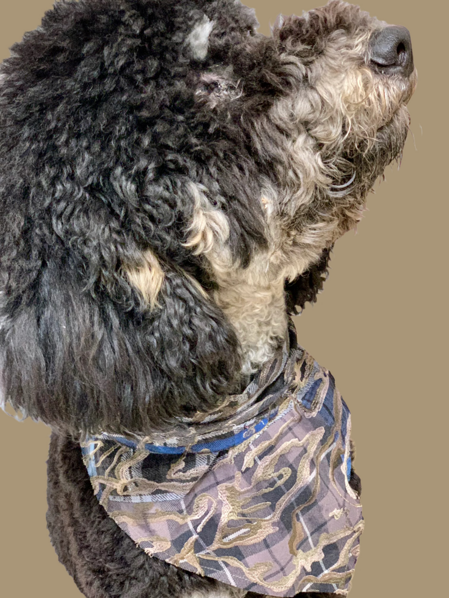 THE DRYAD TRIANGLE DOG SCARF LARGE, MULTI