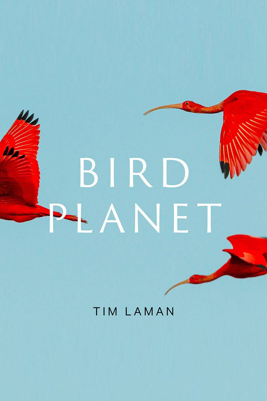 BIRD PLANET - Burning Torch Online Boutique