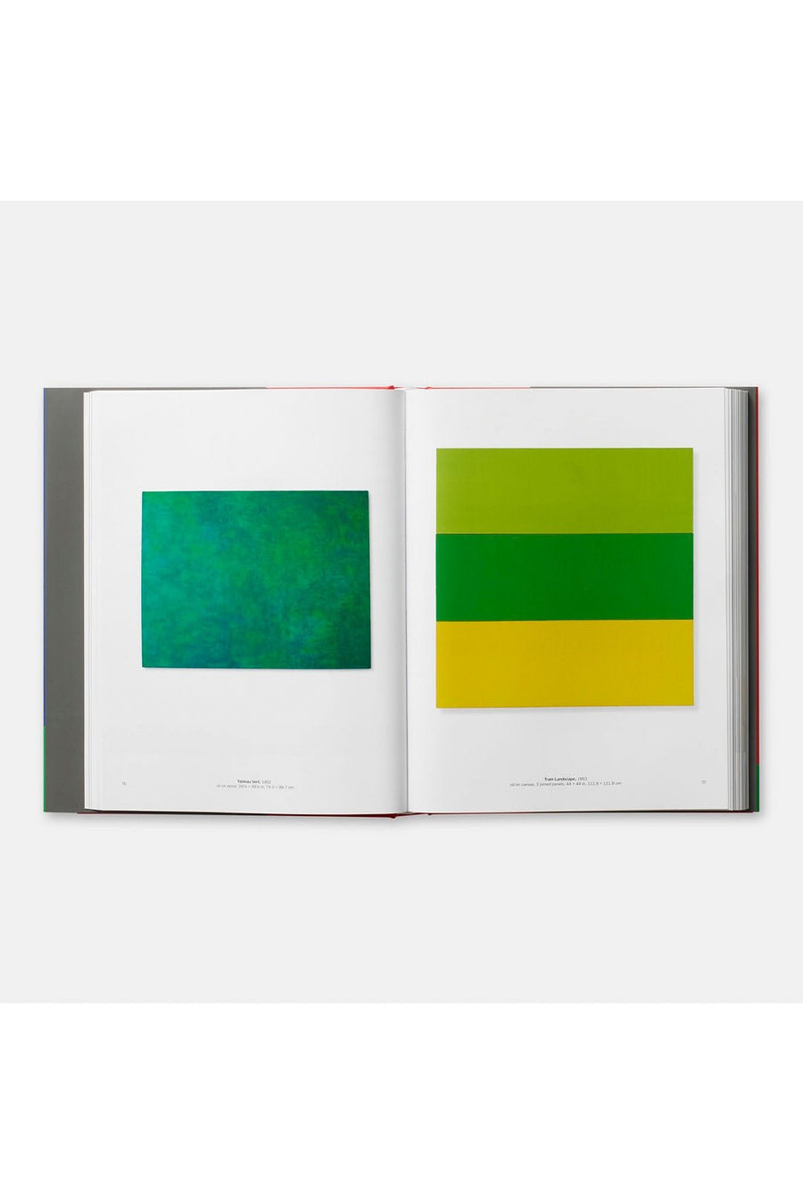 ELLSWORTH KELLY - Burning Torch Online Boutique