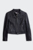 LEATHER SPEEDSTER JACKET, BLACK - Burning Torch Online Boutique