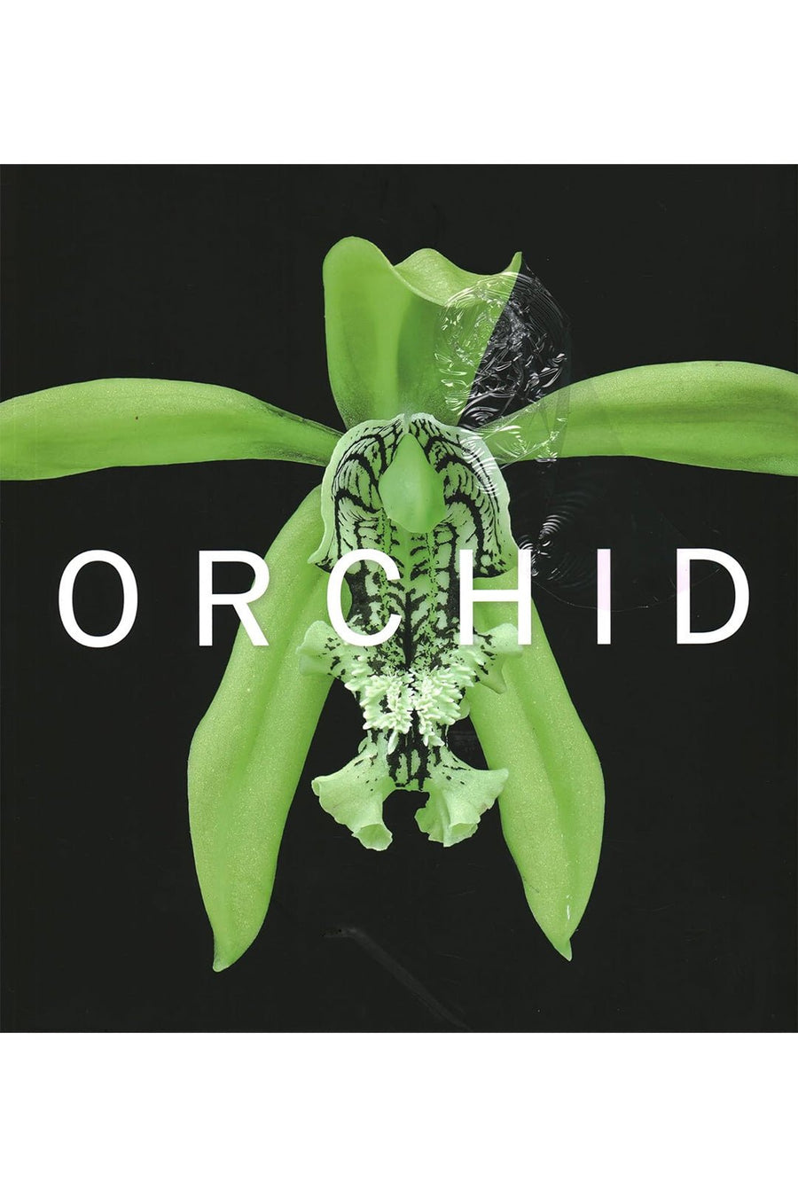 ORCHID - MARIE SHELBY BOTANICAL GARDENS - Burning Torch Online Boutique