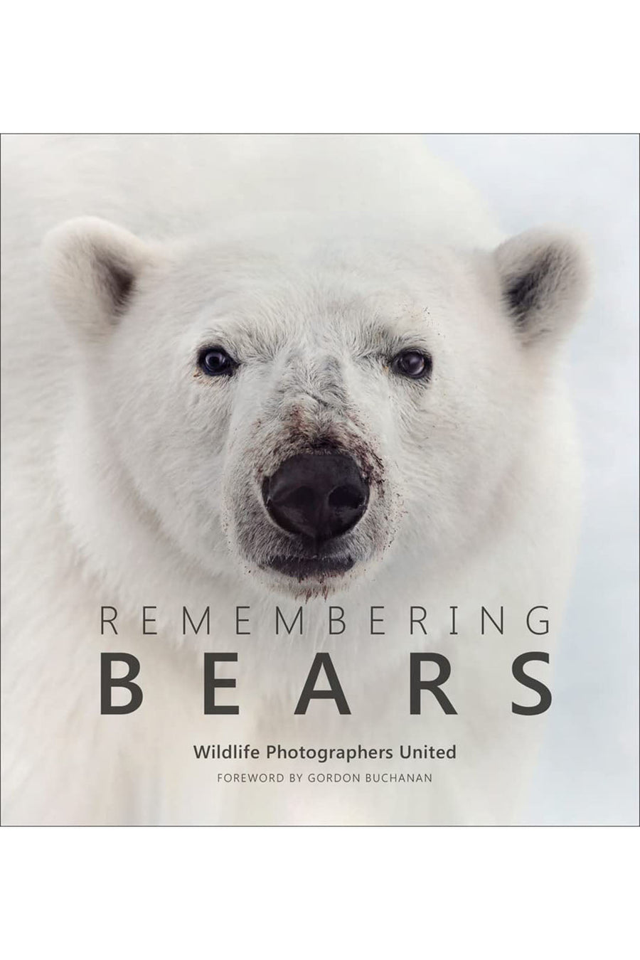 REMEMBERING BEARS - Burning Torch Online Boutique